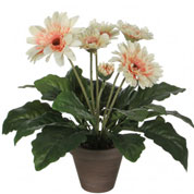 Plante Artificielle - Gerbera Crme - MICA